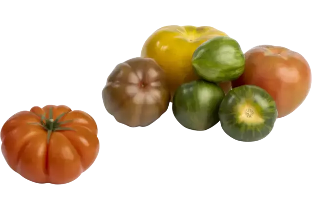 Inca mix tomaten grof kist 3 kilogram